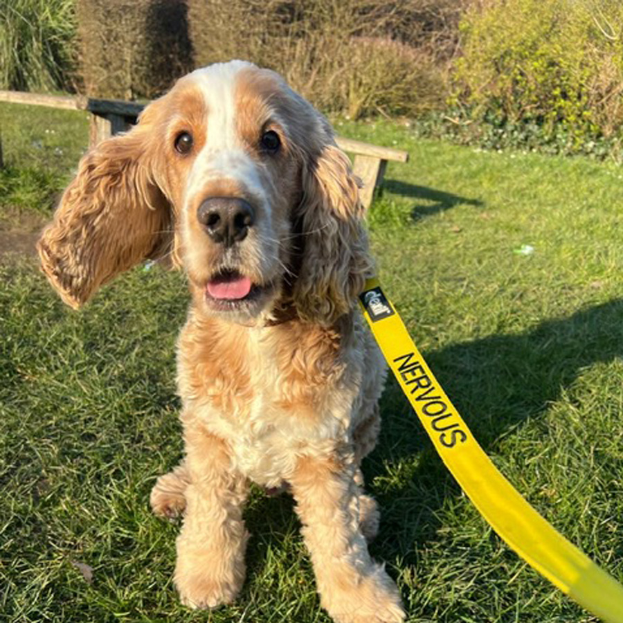 Behaviour Modification Package